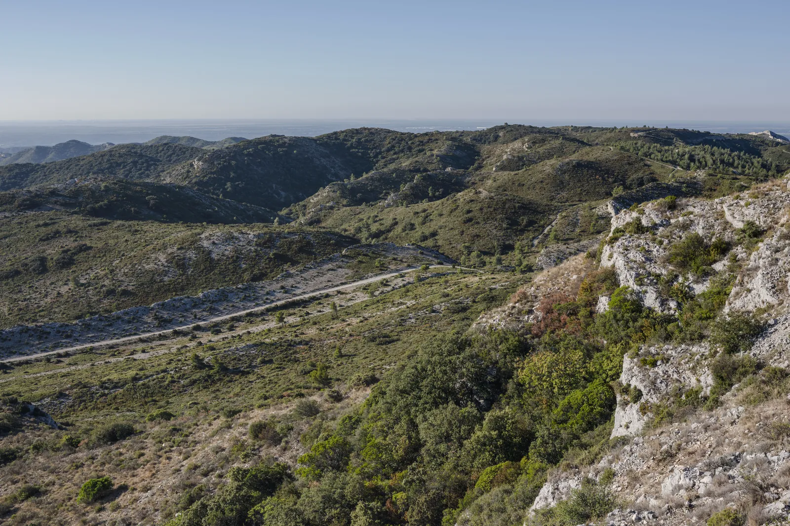 Les crêtes calcaires du massif des Alpilles et une route serpentant entre les pinèdes