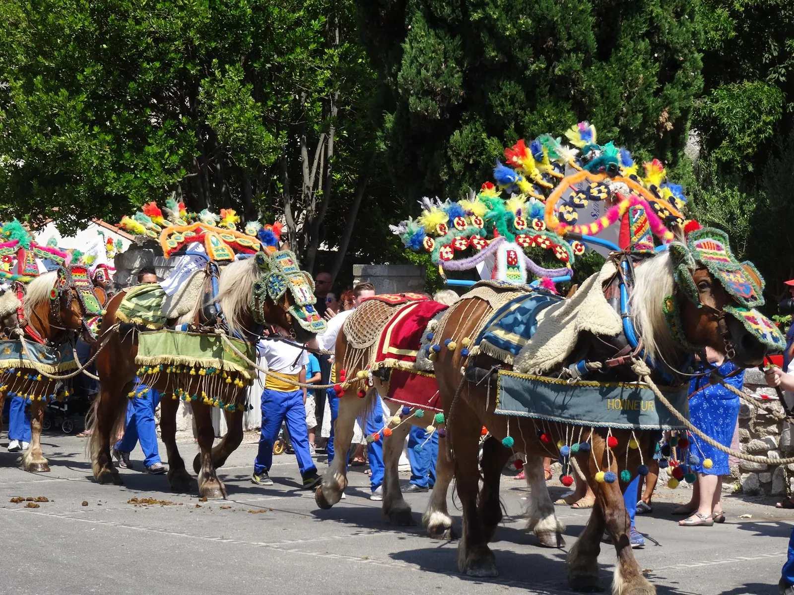 Chevaux de trait harnachés de colliers sarrasins lors d'une charrette ramée de la Saint-Éloi en Provence