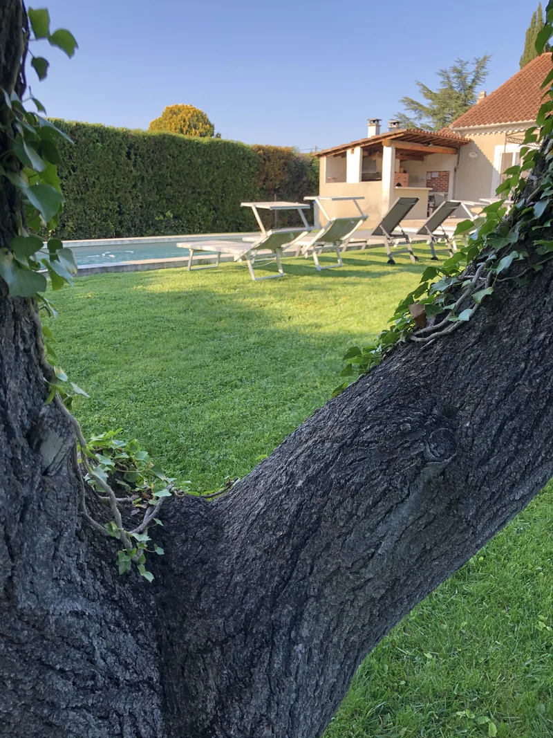 Jardin et piscine vus depuis un vieux tronc, villa en fond