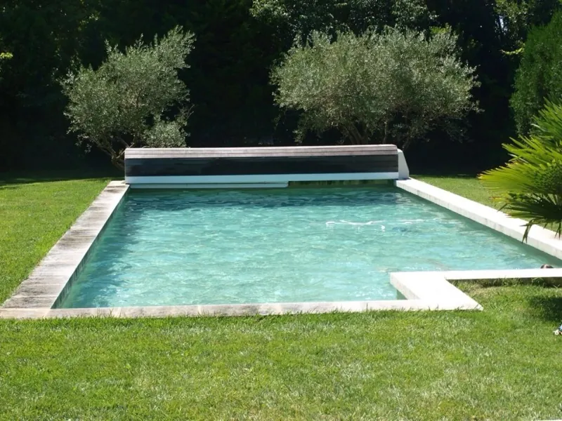 Piscine rectangulaire bordée d'oliviers argentés